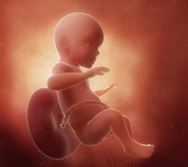 怀孕几个月能看出男孩女孩准确 胎儿性别成形的时间？